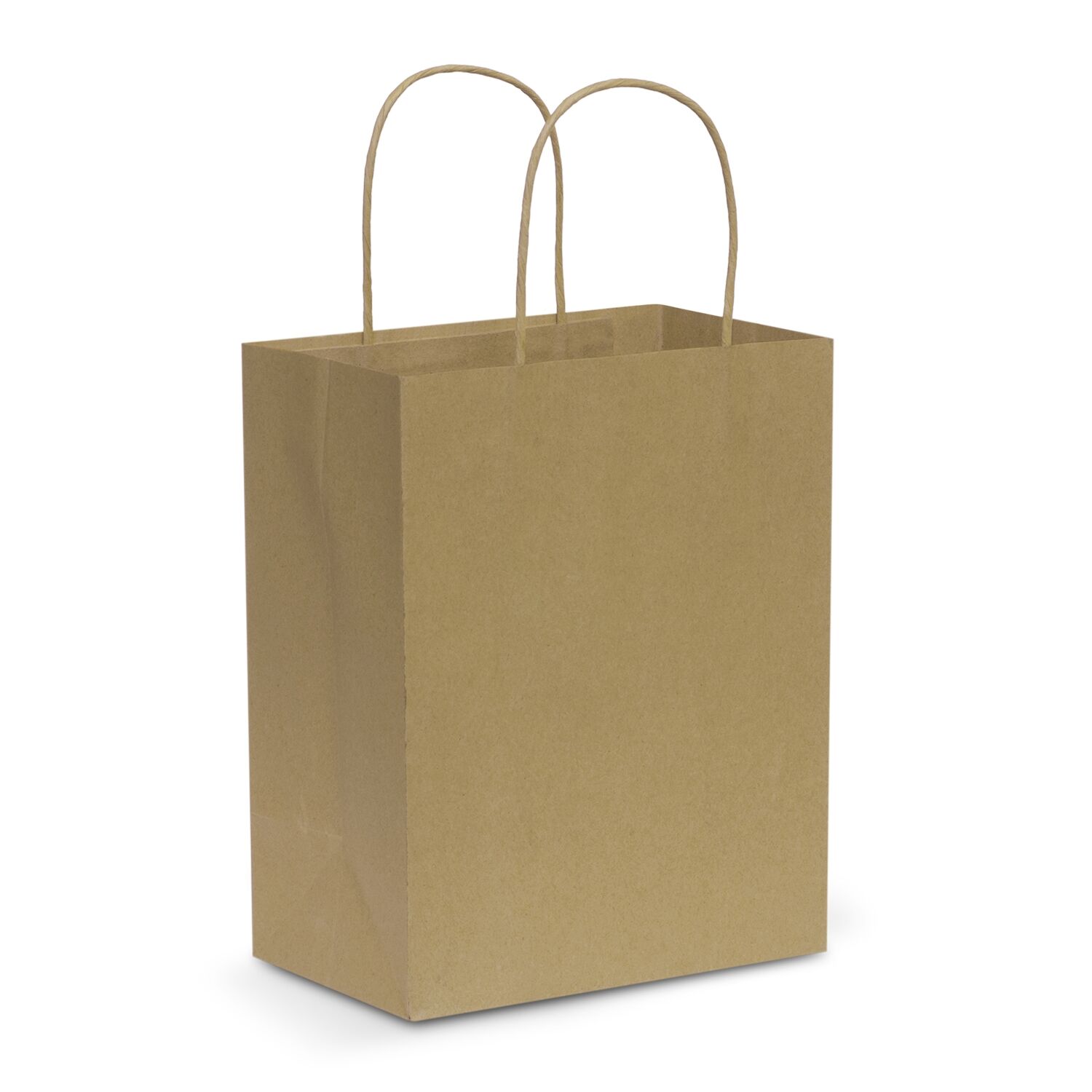 107586 Paper Carry Bag - Medium - Image 2