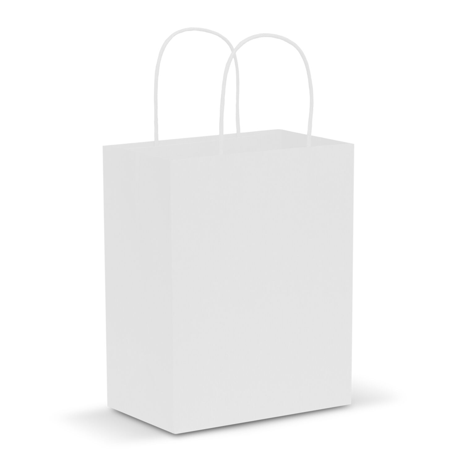 107586 Paper Carry Bag - Medium - Image 3