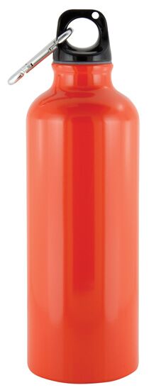 Best promotional Everest bottle orange